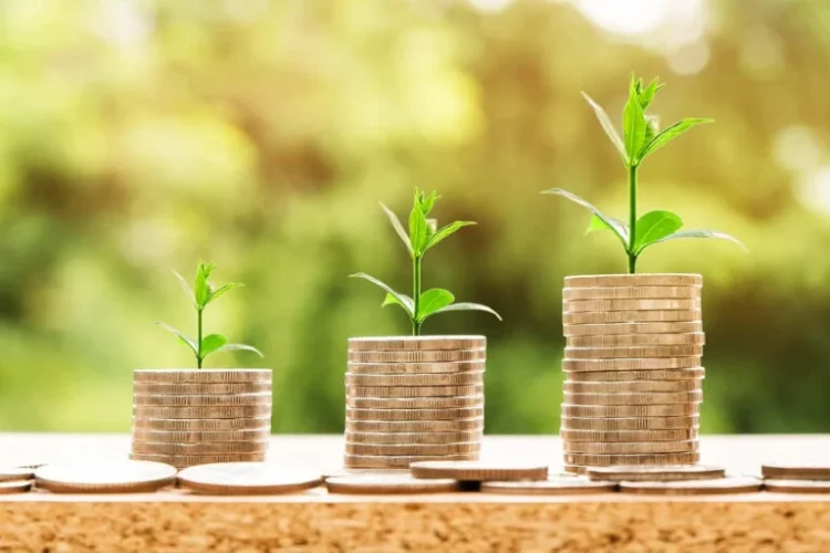 money-investment-growmoretips money-investment-growmoretips